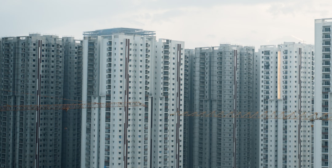 real estate markets across the world