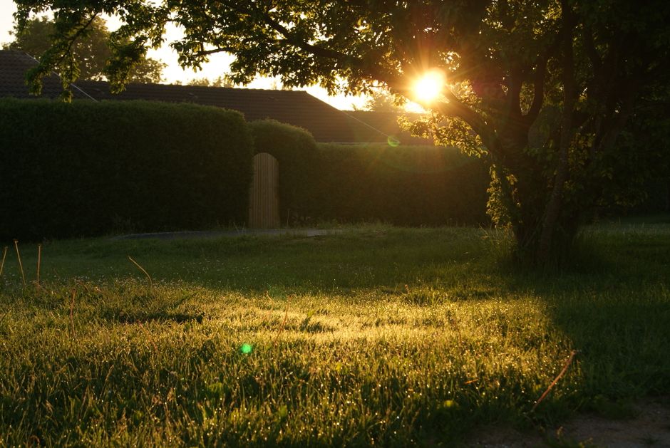 A peaceful, well-maintained suburban street with beautiful modern homes bathed in the warm light of golden hour, symbolizing a safe and valuable neighborhood.